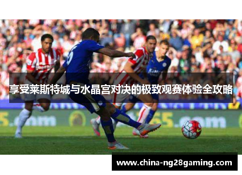 享受莱斯特城与水晶宫对决的极致观赛体验全攻略