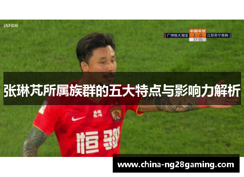 张琳芃所属族群的五大特点与影响力解析