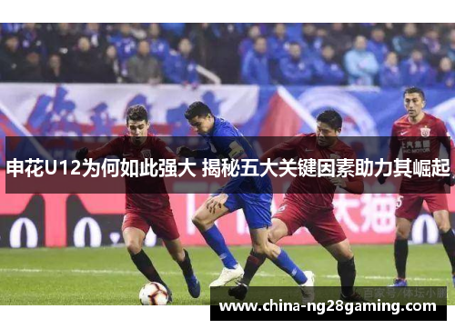 申花U12为何如此强大 揭秘五大关键因素助力其崛起
