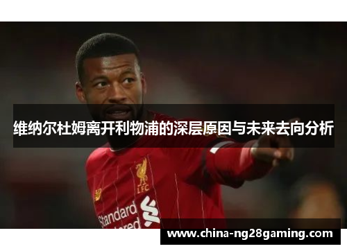 维纳尔杜姆离开利物浦的深层原因与未来去向分析