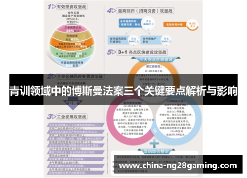 青训领域中的博斯曼法案三个关键要点解析与影响 青训领域中的博斯曼法案三个关键要点解析与影响