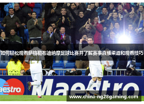 如何轻松观看萨格勒布迪纳摩足球比赛并了解赛事直播渠道和观看技巧