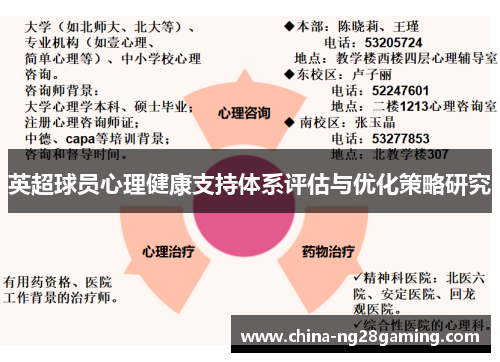 英超球员心理健康支持体系评估与优化策略研究
